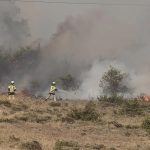Extinguido el incendio en la finca de cereal de Heredia